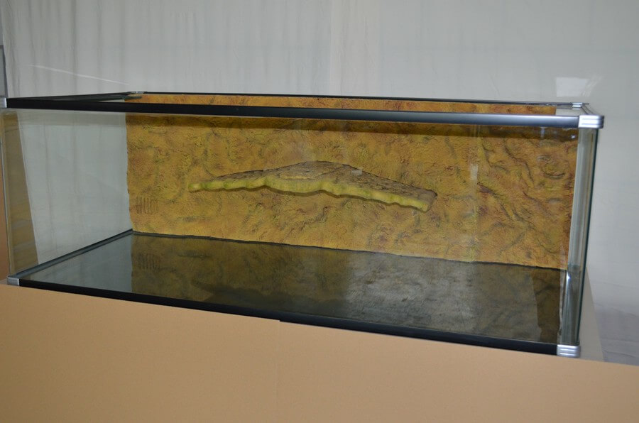 Wasserschildkrötenbecken 150 x 70 x 50 cm