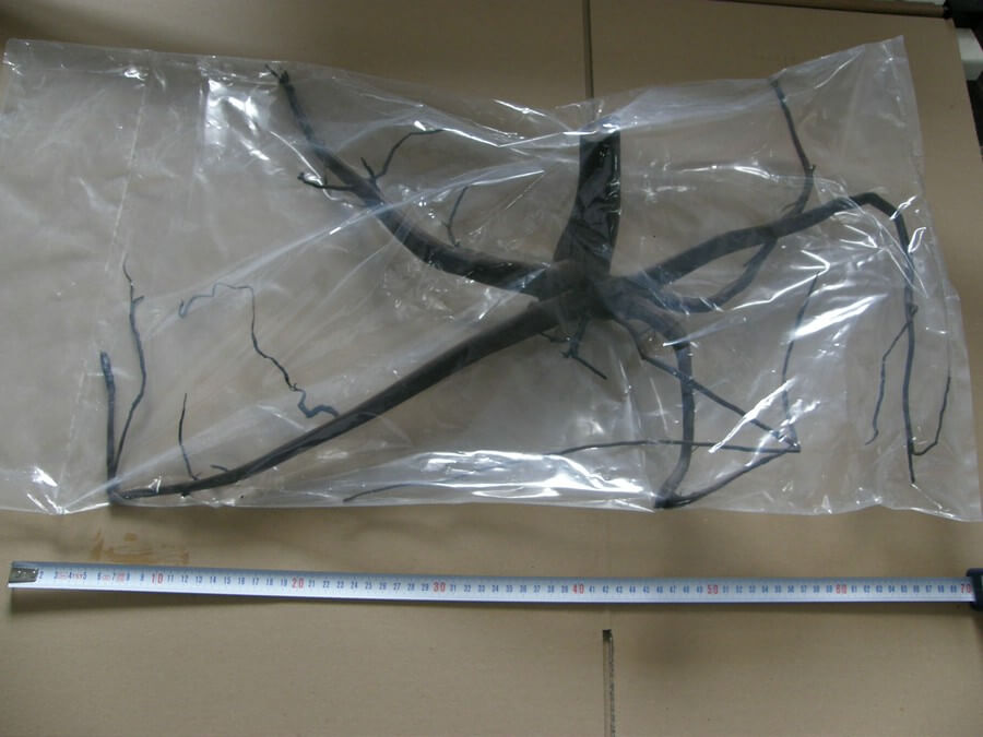 Moorkienholz gewässert, nass verpackt