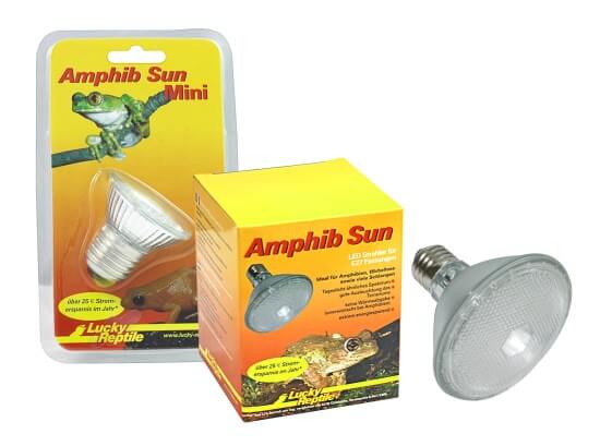Amphib Sun mini