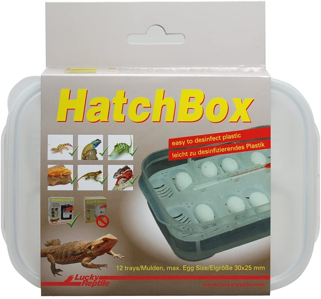 Hatch Box