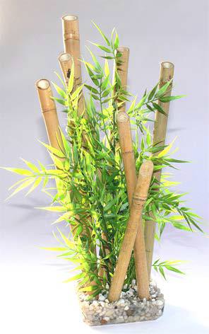 Bamboo Large