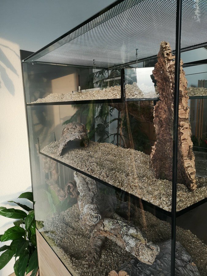 Degu Terrarium