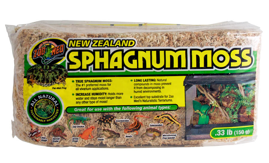 New Zealand Sphagnum Moos