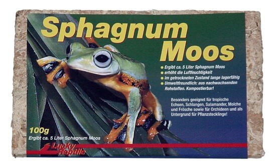 Sphagnum Moos