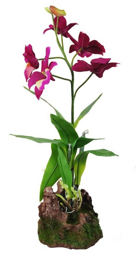 Orchidee Lila gross