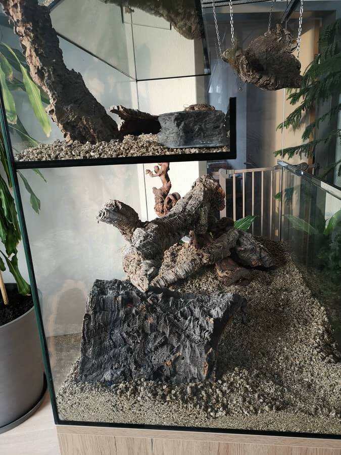 Degu Terrarium