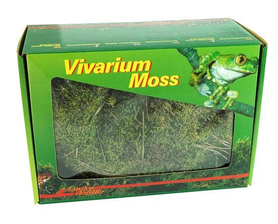Vivarium Moos 150 g