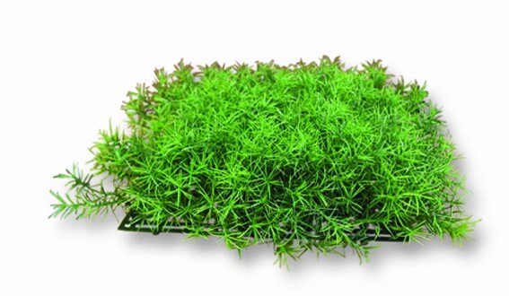 MPS Pflanzen Grasmatte Springer 25 x 25 cm