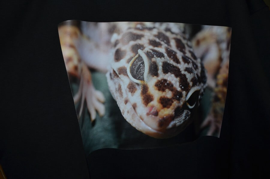 T-Shirt, Leopardgecko Grösse "S" Schwarz