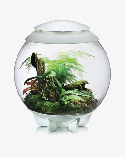 biOrb 60 Liter Terrarium Kugeldurchmesser ca. 50 cm