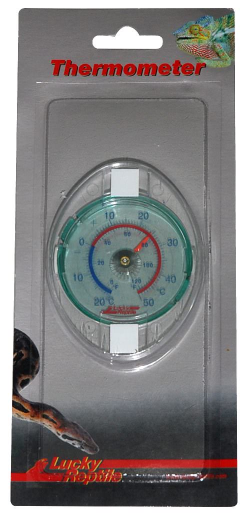 Glas Thermometer analog