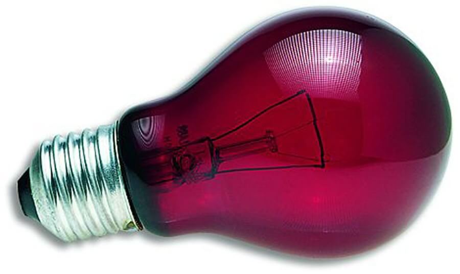 Nightlight Red Reptile Bulb