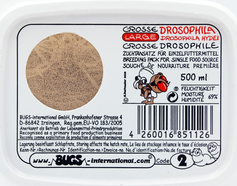 Drosophila gross