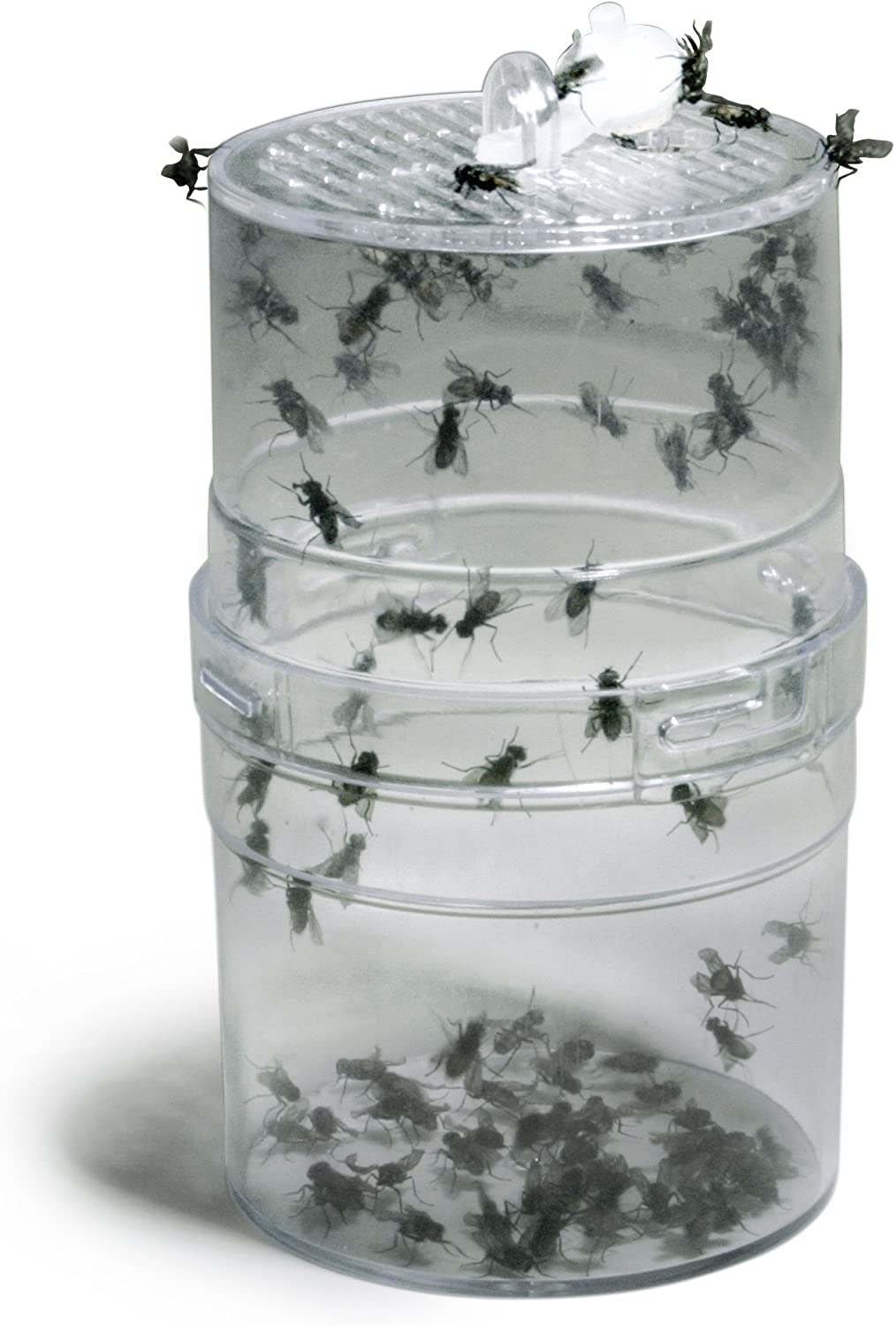 Fly Feeder